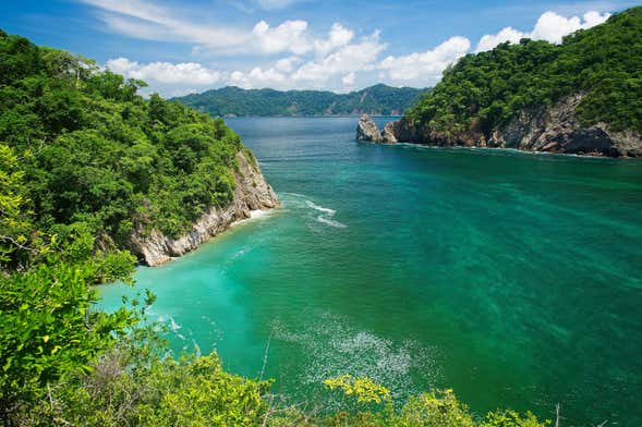 Excursión a Isla Tortuga