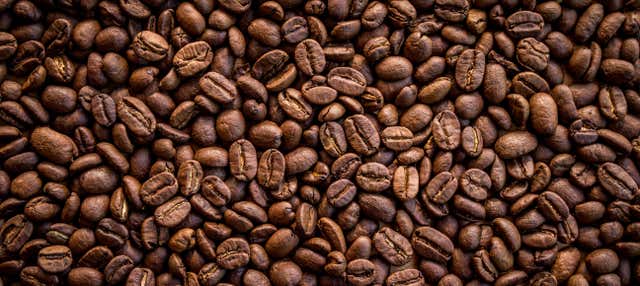 Coffee Tour of San Marcos de Tarrazu