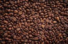 Tour del café por San Marcos de Tarrazú