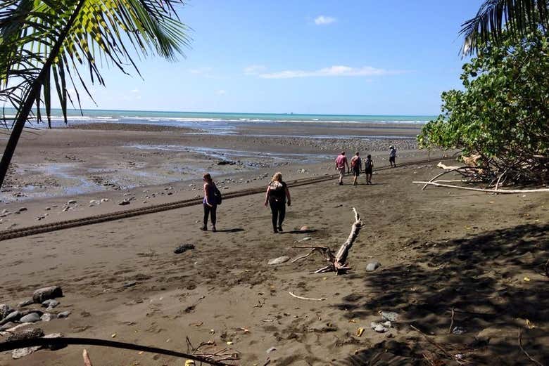 Trekking nel Parco Nazionale Corcovado