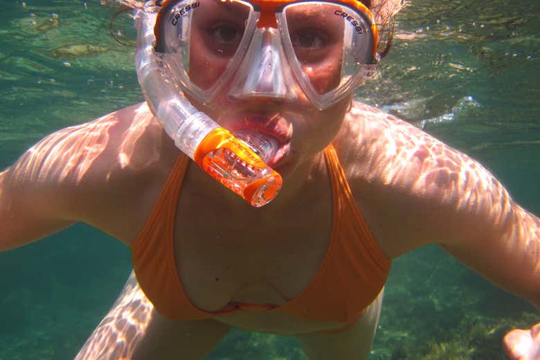 Durante uma das imersões para praticar snorkel