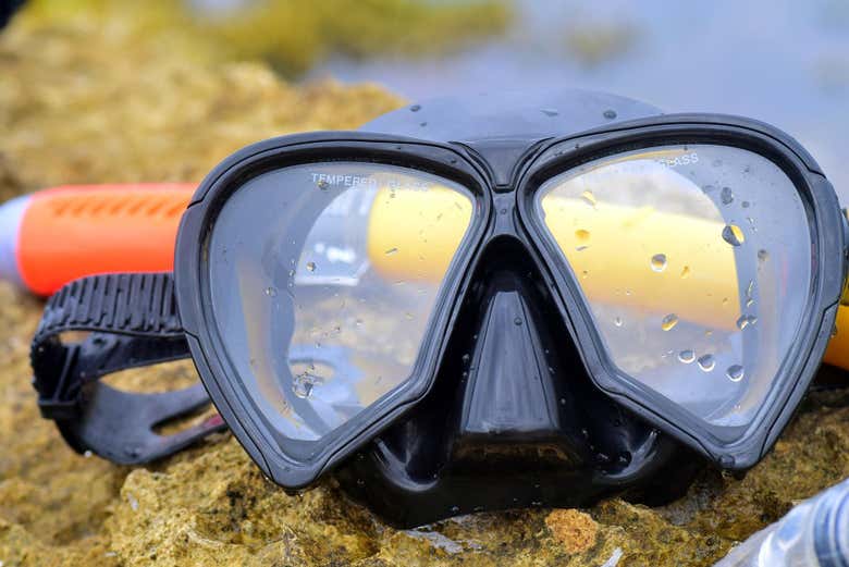 Iremos proporcionar o equipamento de snorkel necessário