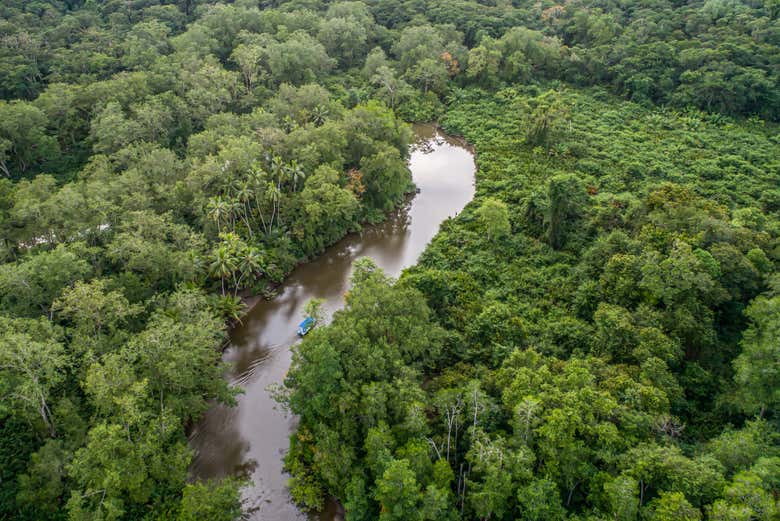 Navegando pelo pântano de Sierpe