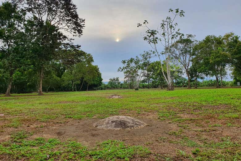 Paisajes del Sitio Arqueológico Finca 6