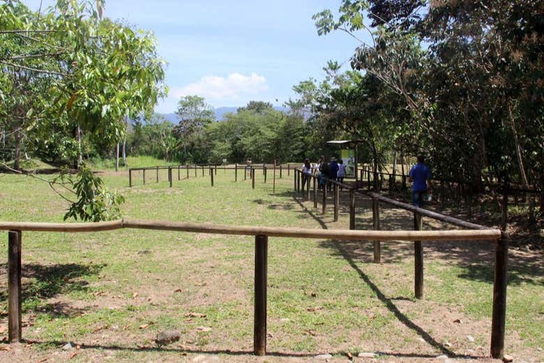 Visitando el Sitio Arqueológico Finca 6