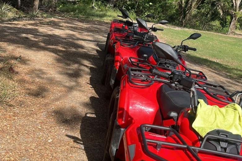 Un parcours inoubliable à travers la nature
