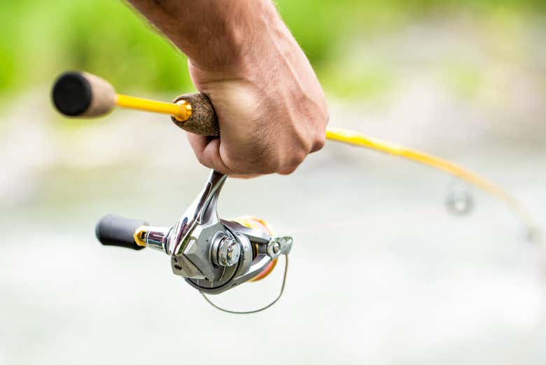 ¡Todo listo para la pesca!