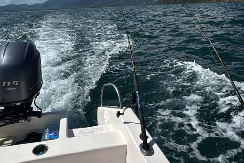 Durante la navegación