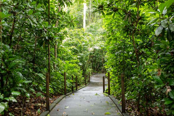 Senderismo por el Parque Nacional Carara