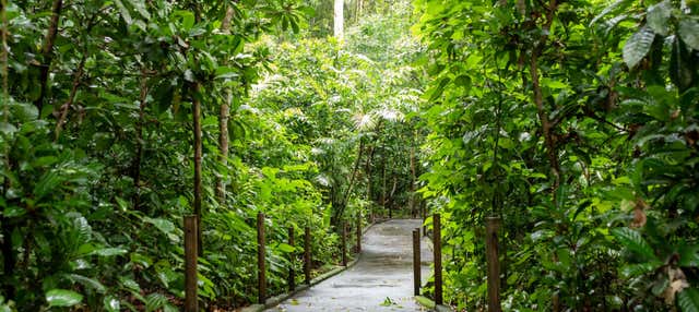 Trilha pelo Parque Nacional Carara