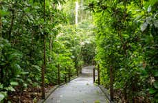 Senderismo por el Parque Nacional Carara