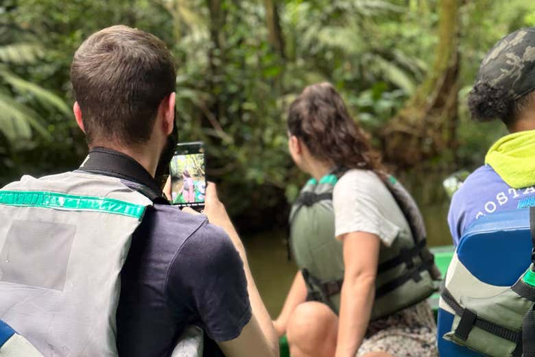 Atentos ao que veremos entre a vegetação