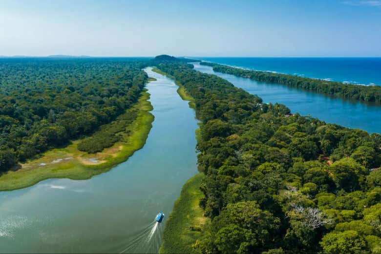 Vista aérea de los canales en Tortuguero