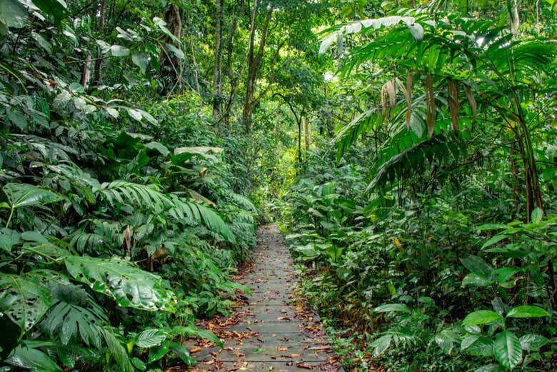 Make the most of your time in Tortuguero