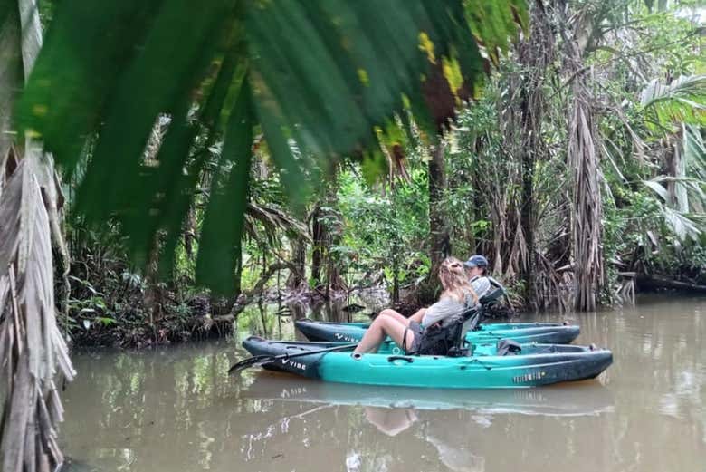 Tomando un descanso en medio de la densa selva