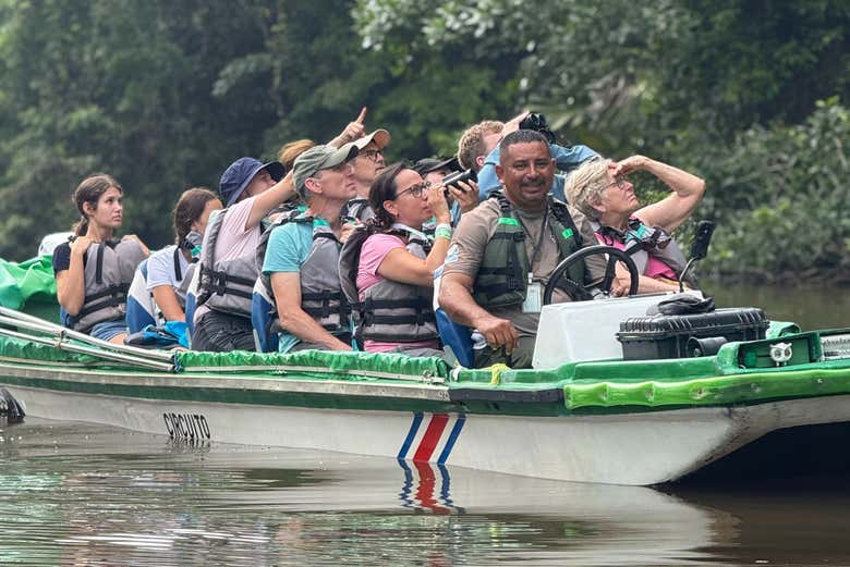 Descubriendo exóticas especies animales en Tortuguero