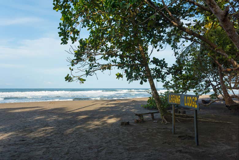 Vue aérienne sur le lodge dans la jungle de Tortuguero