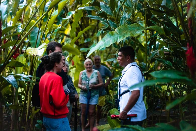 Découvrez la biodiversité du parc national de Tortuguero