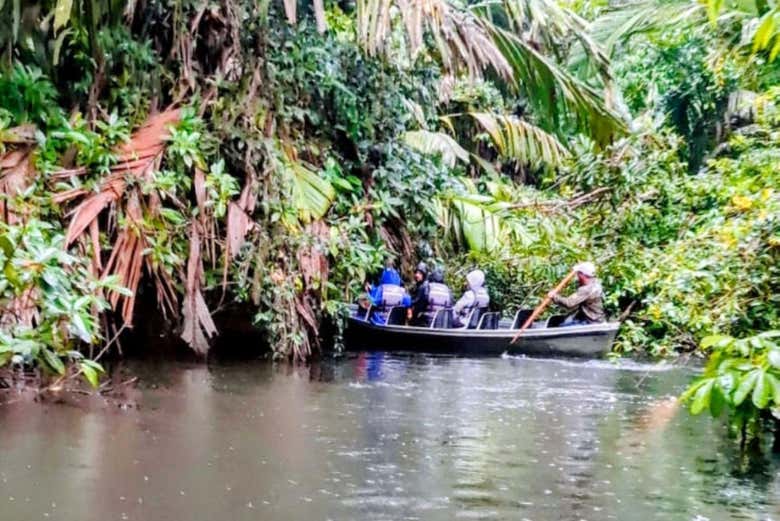 Paseo en canoa en Tortuguero