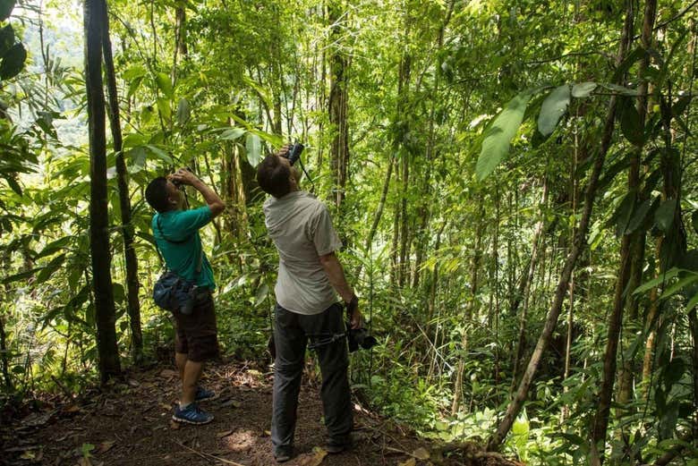 Disfrutando del senderismo por el Parque Nacional Tortuguero