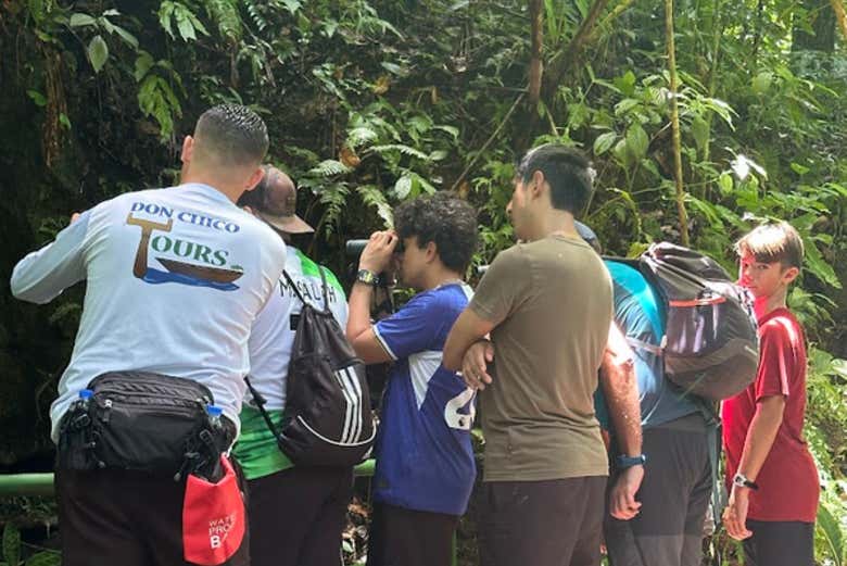 Learn all about jungle life on this hike