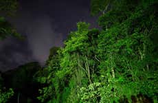 Night Hike in Tortuguero