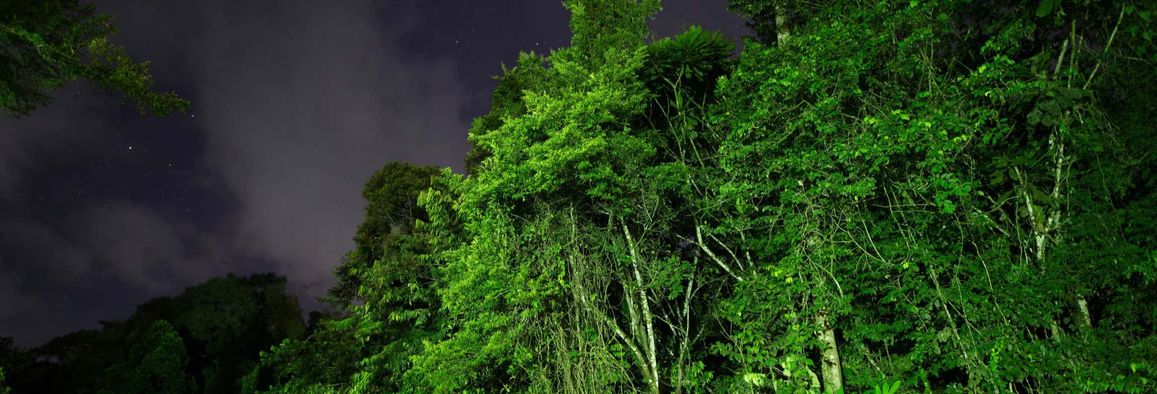Senderismo / Trekking en Tortuguero