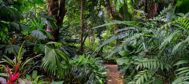 Tortuguero National Park Hike