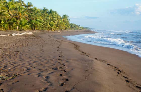 Tortuguero