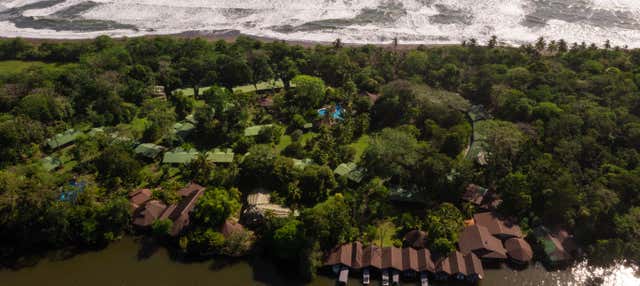 Tour de 2 o 3 días por el Parque Nacional Tortuguero