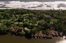 Tortuguero National Park Multi-Day Tour