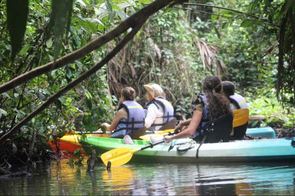 Tour en kayak por el Parque Nacional Tortuguero
