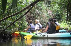 Tortuguero National Park Kayak Tour