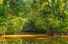 Tour en lancha por el Parque Nacional Tortuguero