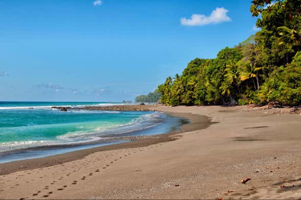Excursión al Parque Nacional Corcovado