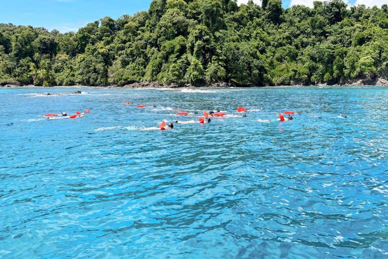 Disfrutando de los paisajes subacuáticos