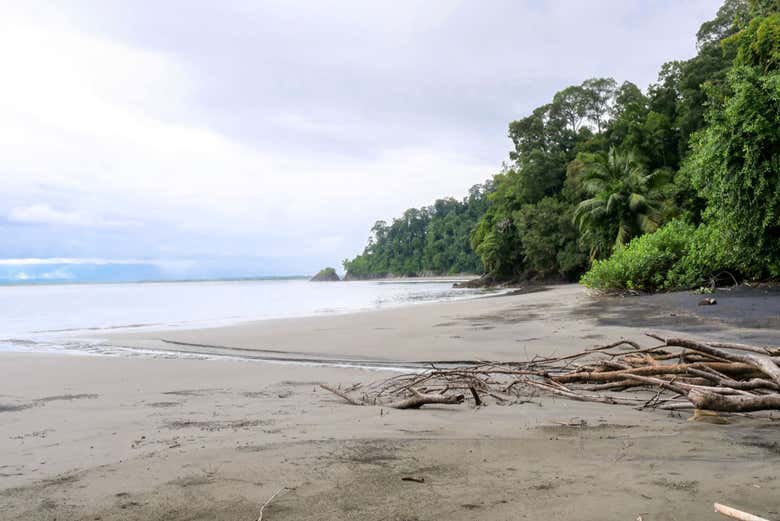 Playa de la isla Violín