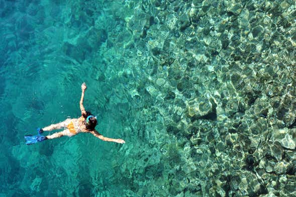 Snorkeling sur l'île del Caño