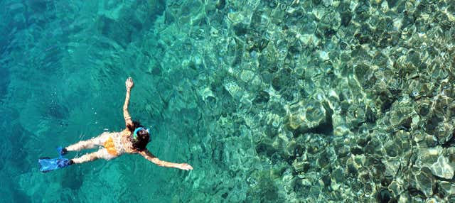 Snorkel en la isla del Caño