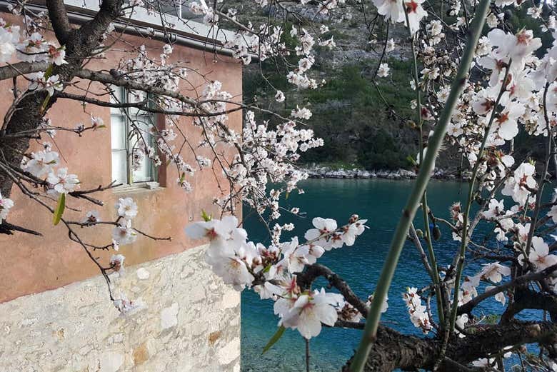 Tour por la isla de Brac