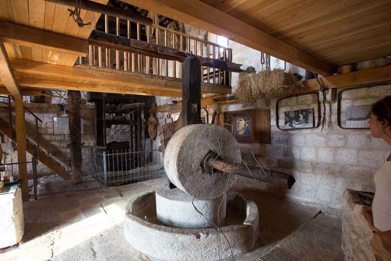 El Museo del Aceite de Oliva