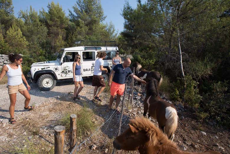 Parte del recorrido del tour