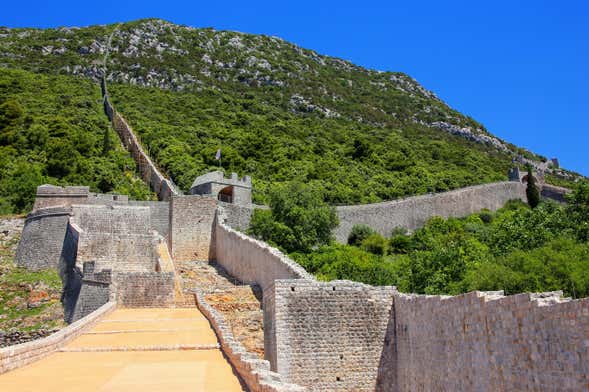 Excursión a Ston + Degustación de vinos