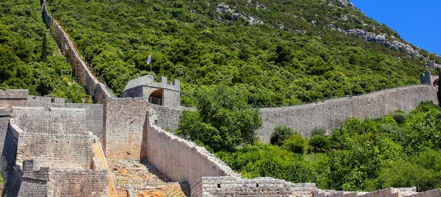 Excursão a Ston + Degustação de vinhos