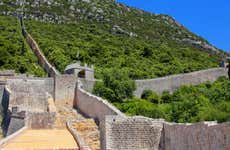 Excursion à Ston + Dégustation de vins