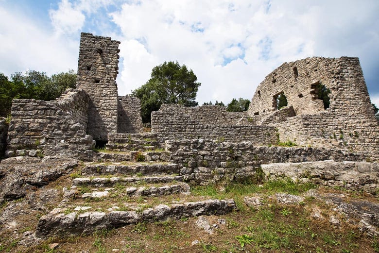 Les vestiges du Palais Romain de l'île