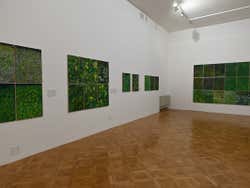 Exposição do Museu de Arte Moderna