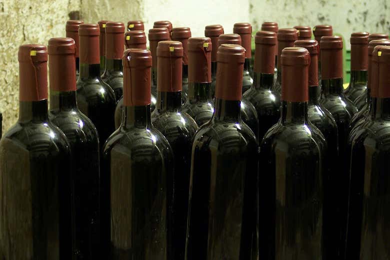 Dégustation de vin à Ston
