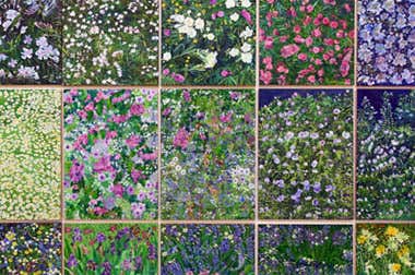 Museu de Arte Moderna