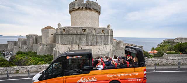 Dubrovnik Panoramic Tour